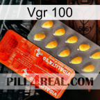 Vgr 100 new01